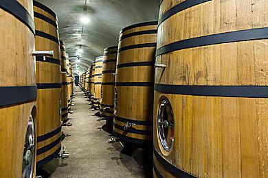 系列新作《铲子骑士：挖掘》确定9月23日正式发售